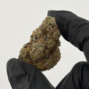 Gassed Up Cherry Cake Exotic THCA hybrid flower, sold by the gram