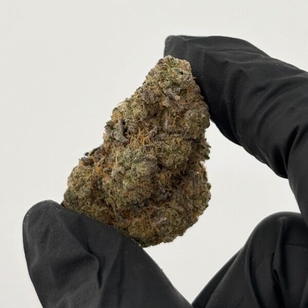 Gassed Up Cherry Cake Exotic THCA hybrid flower, sold by the gram