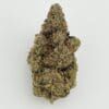 Gassed Up - Exotic Flower - Pineapple Breeze