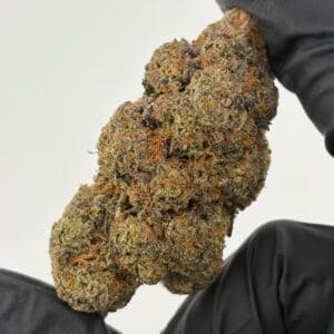 Gassed Up El Camino Exotic Flower, hybrid THCA cannabis flower sold by the gram