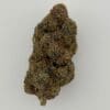 Gassed Up - Exotic Flower - El Camino