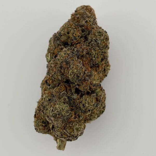 Gassed Up - Exotic Flower - El Camino