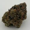 Gassed Up - Exotic Flower - Larry Bird