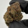 Gassed Up Larry Bird Exotic THCA flower, sativa, sold by the gram