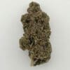 Gassed Up - Exotic Flower - Aries