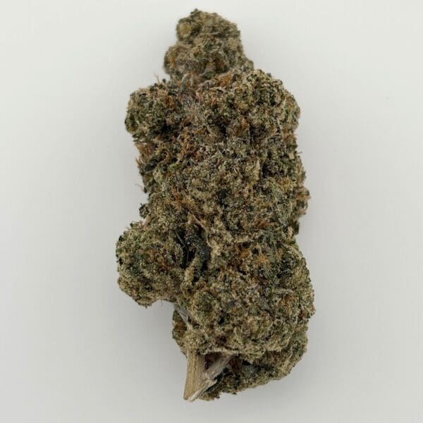 Gassed Up - Exotic Flower - Aries