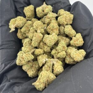 Gassed Up Exotic Smalls Papaya Bomb sativa THCA flower, sold by the gram