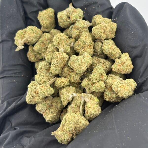 Gassed Up - Exotic Smalls - Papaya Bomb Gassed Up Exotic Smalls Papaya Bomb sativa THCA flower, sold by the gram