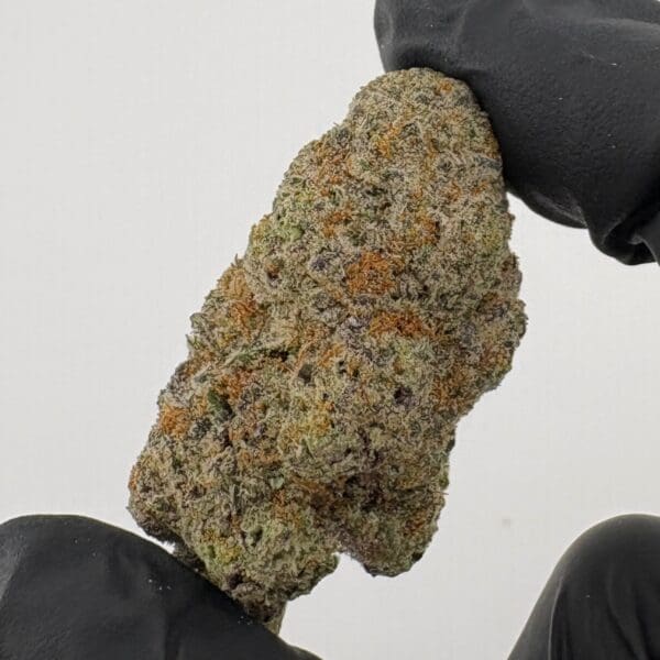 Gassed Up - Exotic Flower - White Widow