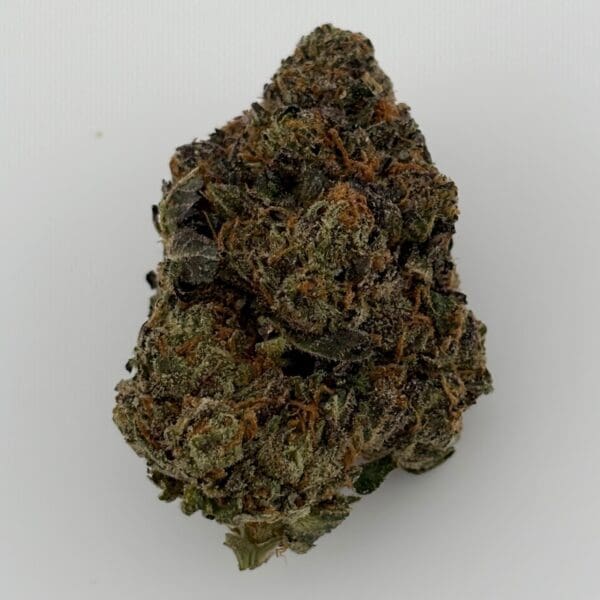 Gassed Up - Exotic Flower - Rainbow Sherbet Gassed Up - Exotic Flower - Rainbow Sherbet