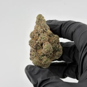 Gassed Up Royal Flush Exotic THCA indica flower, sold by the gram