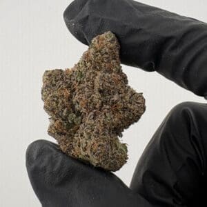 Gassed Up Blue Taffy exotic indica cannabis flower, blueberry candy strain