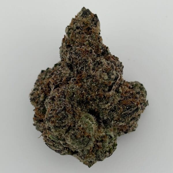 Gassed Up - Exotic Flower - Blue Taffy